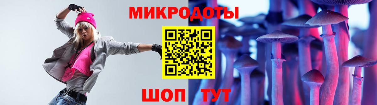 Галлюциногенные грибы GOLDEN TEACHER  наркотики  Вход с VPN  Шебекино  Псилоцибиновые грибы Psilocybe 